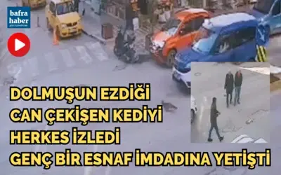 Dolmuşun Altında Kalan Kedinin İmdadına Bir O Yetişti