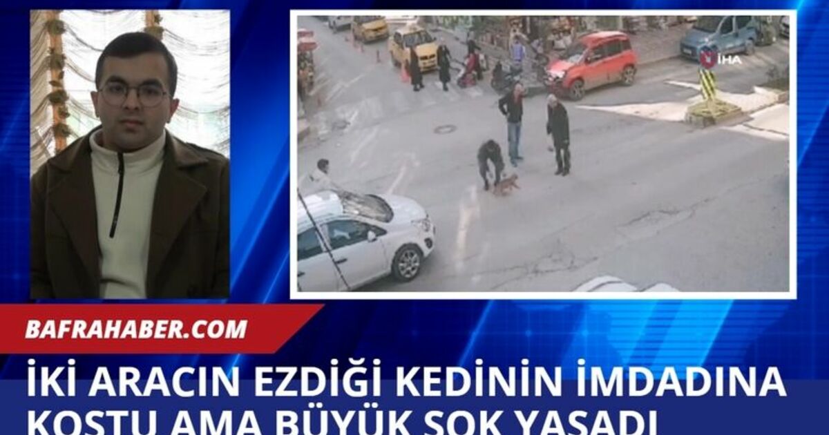 İki aracın ezdiği kedinin imdadına koştu ama büyük şok yaşadı
