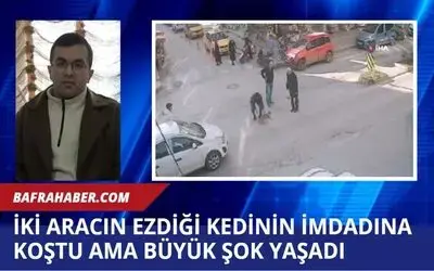 İki aracın ezdiği kedinin imdadına koştu ama büyük şok yaşadı