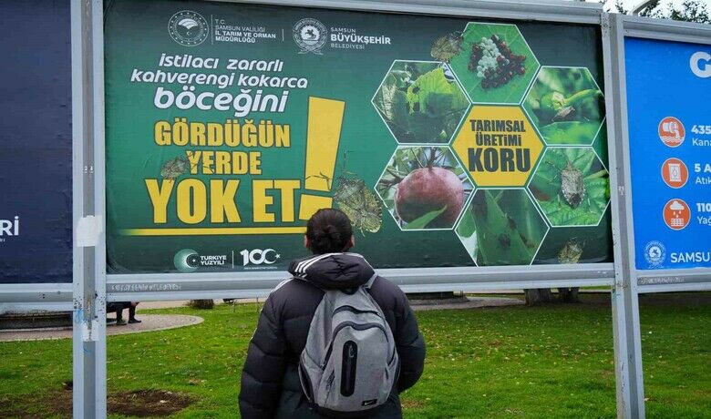 Kahverengi kokarcayla mücadele billboardlarda:“Gördüğün yerde yok et” - Sebze, meyve ve çiftçilerin en büyük düşmanı olan "kahverengi kokarca" böceği ile mücadeleye dikkat çekmek amacıyla Samsun’un ana arterlerindeki billboardlara “Gördüğün yerde yok et” afişleri asıldı.