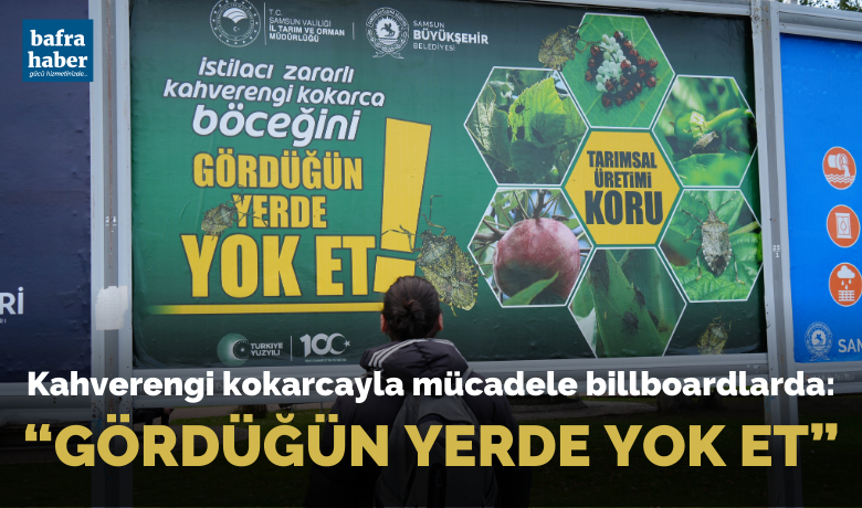 Kahverengi kokarcayla mücadele billboardlarda:“Gördüğün yerde yok et”