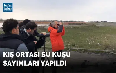 Kış ortası su kuşu sayımları yapıldı