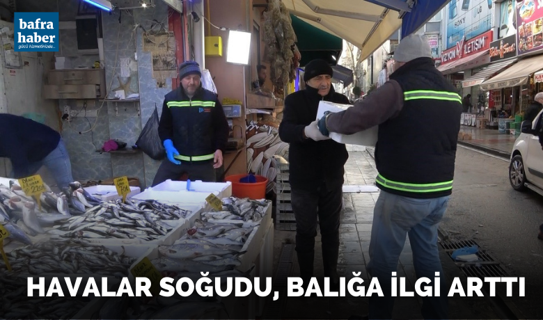 Havalar soğudu, balığa olan ilgi arttı - Samsun’da havaların soğumasıyla balığa olan ilgi arttı. Boyutunun küçük olmasından dolayı hamsi çok tercih edilmezken, en çok ilgi gören balıklar ise istavrit ve mezgit oldu.