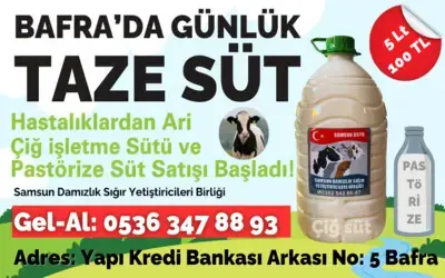 Bafra'da Günlük taze Süt Satışı Başladı!