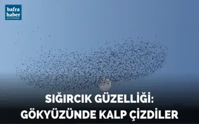 Sığırcık güzelliği: Gökyüzünde kalp çizdiler