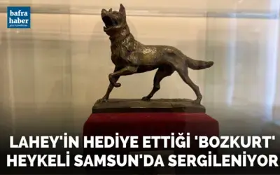 Lahey’in hediye ettiği ’bozkurt’ heykeli Samsun’da sergileniyor