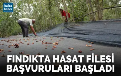 Fındık üreticilerine ‘doğru budama eğitimi’