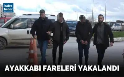 Ayakkabı fareleri yakalandı