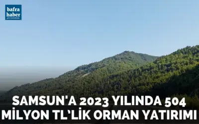 Samsun’a 2023 yılında 504 milyon TL’lik orman yatırımı