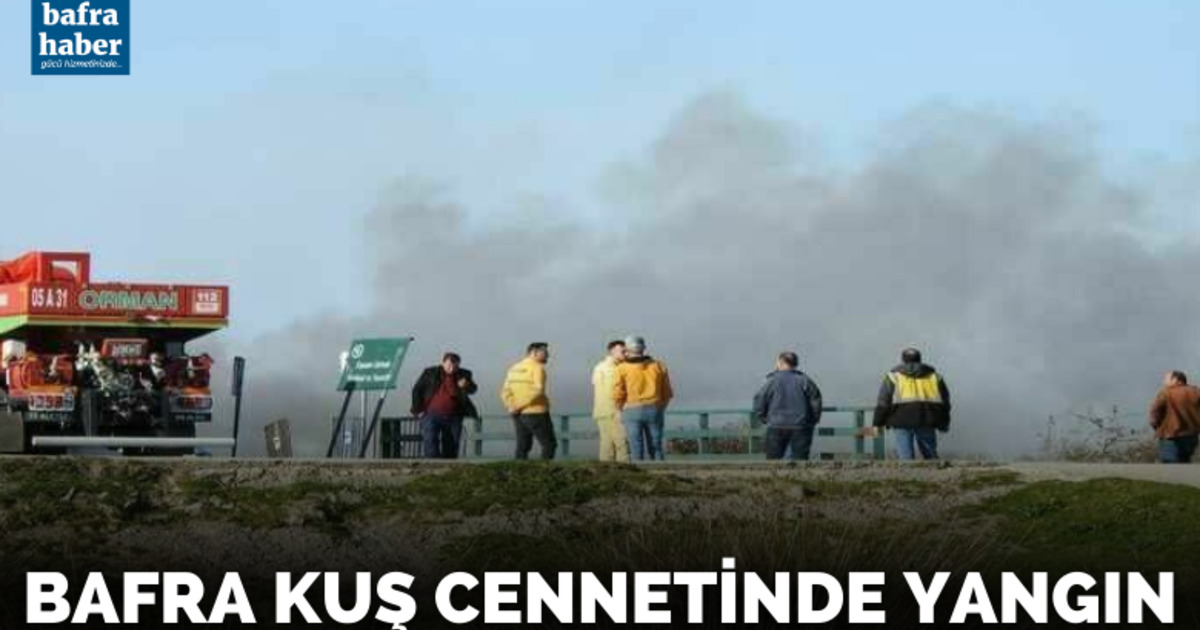 Bafra Kuş Cennetinde Yangın