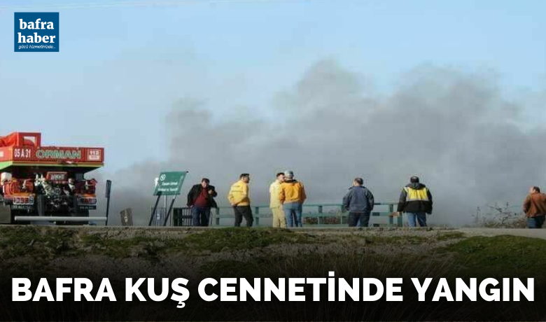 Bafra Kuş Cennetinde Yangın - Kızılırmak Deltası Bafra Kuş Cennetinde saz yangını çıktı.