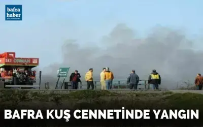 Bafra Kuş Cennetinde Yangın