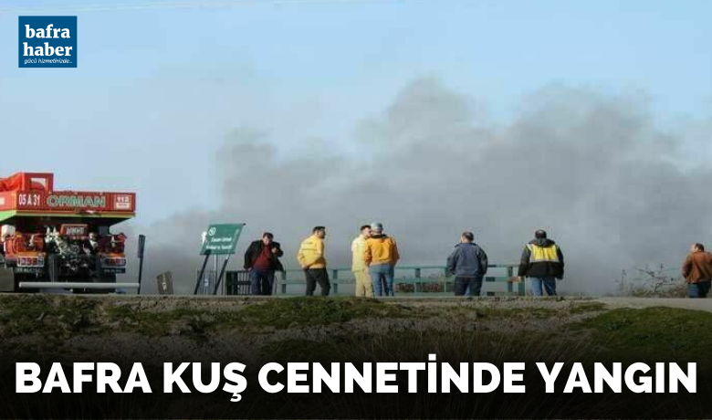 Bafra Kuş Cennetinde Yangın