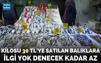 Kilosu 30 TL’ye satılan balıklara ilgi yok denecek kadar az