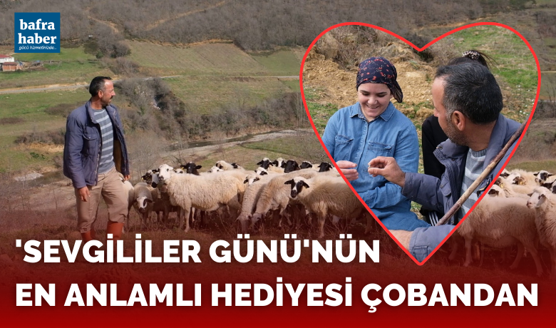 ’Sevgililer Günü’nün en anlamlı hediyesi çobandan - Sevgililer Günü’nün en anlamlı hediyesini veren çobanın sözleri yürekleri ısıttı.
