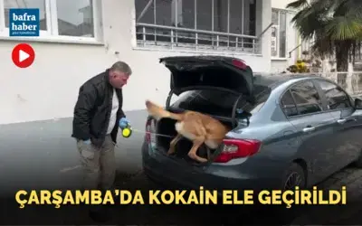 Narkotik dedektör köpeği ile yapılan aramada kokain ve esrar ele geçirildi