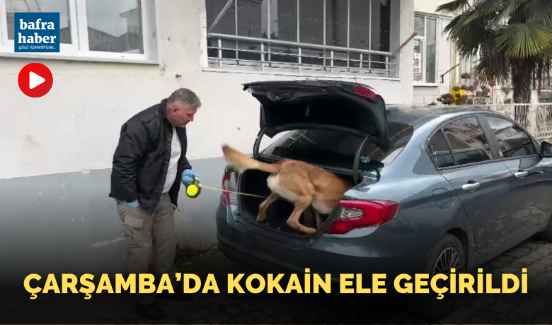 Narkotik dedektör köpeği ile yapılanaramada kokain ve esrar ele geçirildi