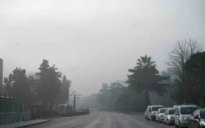 Samsun’da ’sis’ etkili
