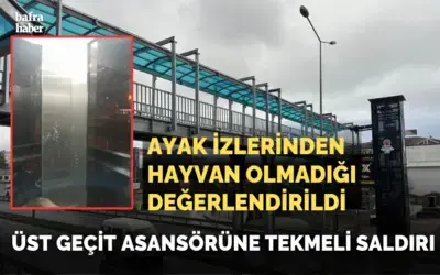 Üst Geçit Asansörüne Tekmeli Saldırı