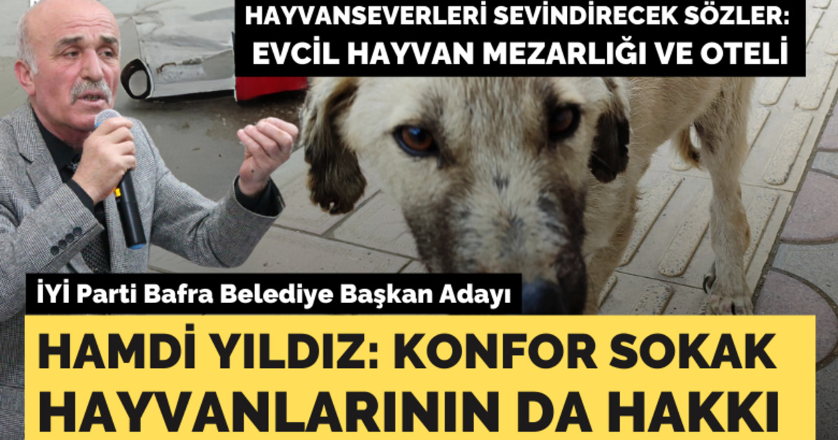 Hamdi Yıldız: Konfor Sokak Hayvanlarının Da Hakkı