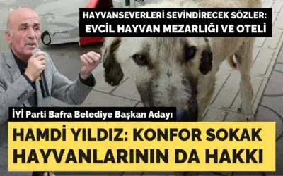 Hamdi Yıldız: Konfor Sokak Hayvanlarının Da Hakkı