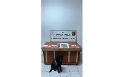 Jandarma tarafından uyuşturucuyla yakalanan şahıs tutuklandı
