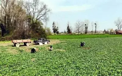 TR83 Bölgesi’nde istihdam azaldı, işsizlik arttı
