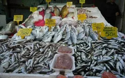 Balıkçılar sezondan memnun
