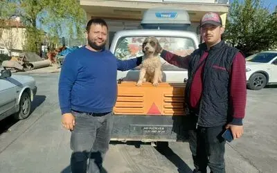 Trüf mantarı avcısı ‘Radar’ bulundu

