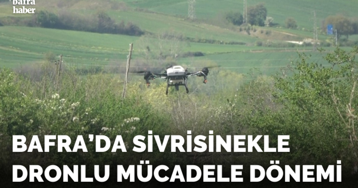 Bafra Ovası’nda dron destekli sivrisinek mücadelesi