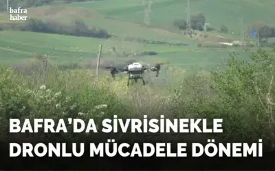 Bafra Ovası’nda dron destekli sivrisinek mücadelesi