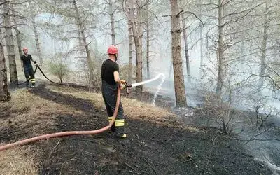 Havza Kılavuz Ormanı’nda korkutan yangın
