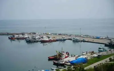 Hayvansal ürün ihracatından milyonlarca döviz Türkiye ekonomisine girdi
