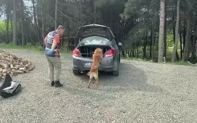 Narkotik dedektör köpeği araca zulalanmış uyuşturucu buldu: 12 gözaltı
