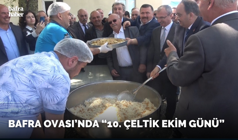 Bafra Ovası’nda “10. Çeltik Ekim Günü”