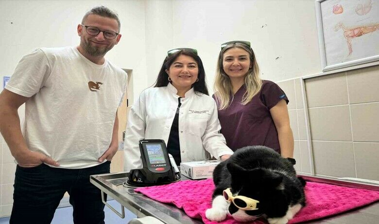 OMÜ Hayvan Hastanesinde ’düşükdoz lazer tedavi’ hizmeti - Ondokuz Mayıs Üniversitesi (OMÜ) Veteriner Fakültesi Hayvan Hastanesinde ‘düşük doz lazer tedavi’ hizmeti verilmeye başlandı.