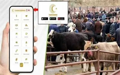 "Tarım Cebimde" ile 3 adımda kurbanlık sorgulama
