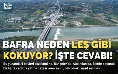 Bafra Neden Leş Gibi Kokuyor? İşte Cevabı!