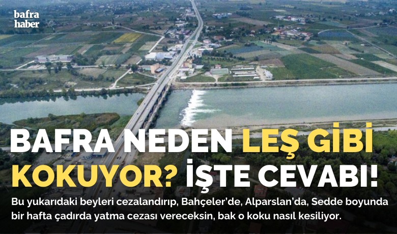 Bafra Neden Leş Gibi Kokuyor? İşte Cevabı! - Bafra’nın müzmin sorunlarından biri de kibarca "leş gibi" diyeceğimiz kötü koku oldu. Bir aralar, herkes birbirinin üzerine attığı için kokunun kaynağını arıyorduk. Neyse ki o günleri aştık. Kokunun kaynağı belli: Bafra OSB’deki balık yağı ve unu üreten fabrika.