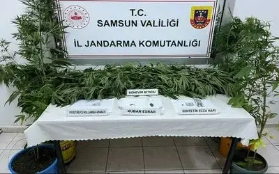 Jandarmadan kenevir operasyonu
