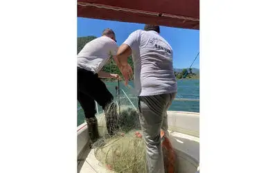 Denetimde yakalanan balıklar suya bırakıldı
