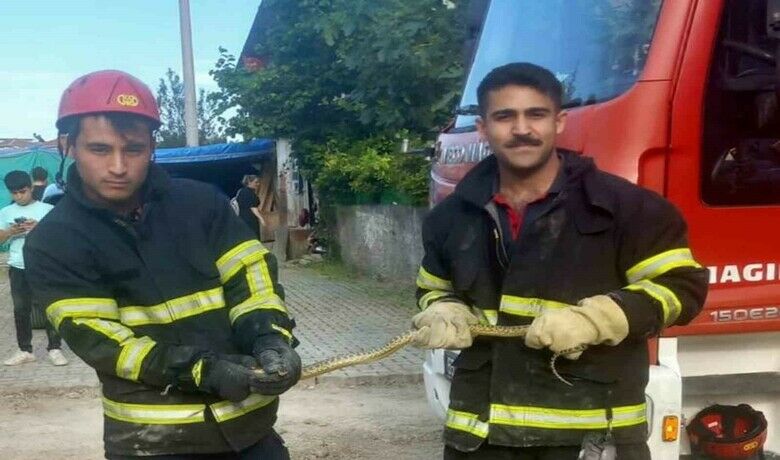 İtfaiye ekiplerinin yılan mesaisi
 - Samsun’un Vezirköprü ilçesinde itfaiye ekipleri 1 haftada 5 yılan ihbarına gitti. İtfaiye ekipleri yakaladıkları yılanları yaşam alanlarından uzak yerlere bırakıyor.