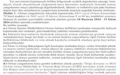 Samsun’da ormanlık alanlara girişler yasaklandı

