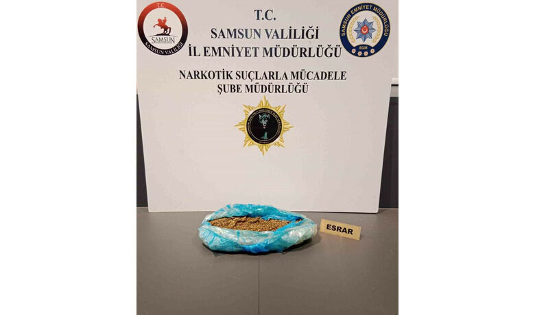 Samsun’da 665 gram esrar ele geçirildi
 - Samsun’da polis tarafından 665 gram esrar ele geçirildi.