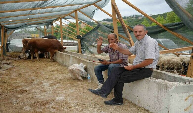 Besiciler bayramda da kurbanlık mesaisinde
 - Samsun’da besicilerin bayram mesaisi sürüyor. Canlı hayvan pazarlarındaki bazı besiciler hayvanlarının yarısının ellerinde kaldığını, bu yüzden bayramın ilk gününde de satışlara devam ettiklerini söylediler.