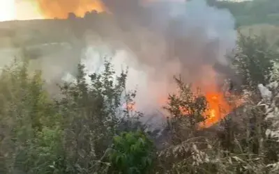 Bafra’da otluk alanda çıkan yangın kontrol altına alındı
