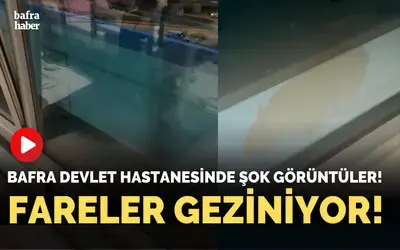 Bafra Devlet Hastanesinde Şok Görüntüler! Fareler Geziniyor!