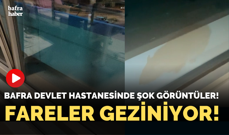 Bafra Devlet Hastanesinde Şok Görüntüler! Fareler Geziniyor!