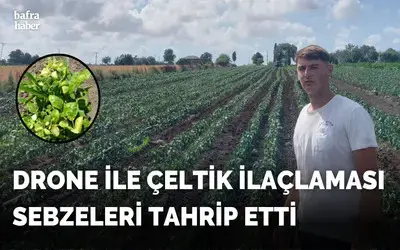 Drone İle Çeltik İlaçlaması Sebzeleri Tahrip Etti