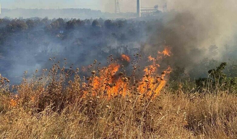 Ziraat odasından çiftçilere ’anız yangını’ uyarısı - Vezirköprü Ziraat Odası Başkanı Aslan Kaya, hasadın devam ettiği bu günlerde çiftçilere anız yakılmaması konusunda uyarıda bulundu.